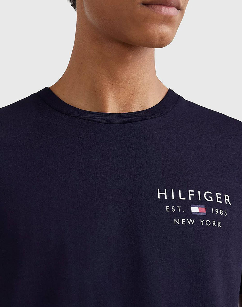 TOMMY HILFIGER BRAND LOVE SMALL LOGO TEE