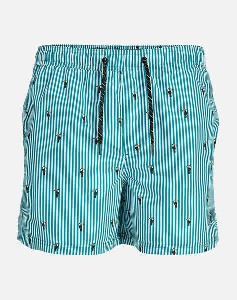 JACK&JONES JPSTFIJI JJSWIM MINI STRIPE LY