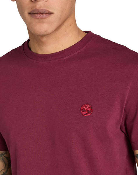 TIMBERLAND SUN RIVER CREW T SHIRT