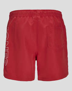 JACK&JONES JPSTFIJI JJSWIM DOUBLE LOGO SN LY